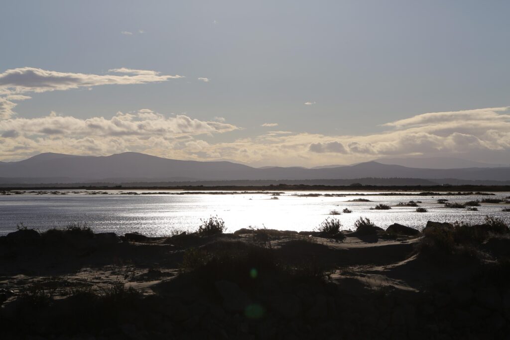 Location bateau Gruissan